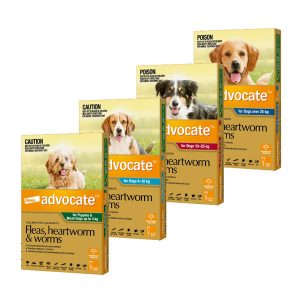 advocate flea treatment packs