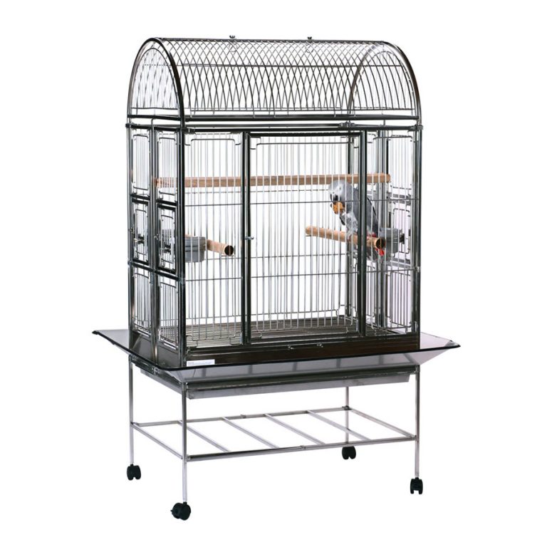 304 stainless steel bird cage